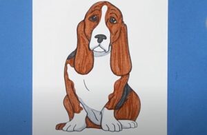 How to Draw a Hound