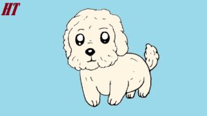 How to Draw a Maltese Dog