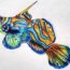 How to Draw a Mandarin Fish