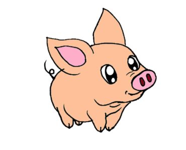 How to Draw a Simple Pig Step by Step