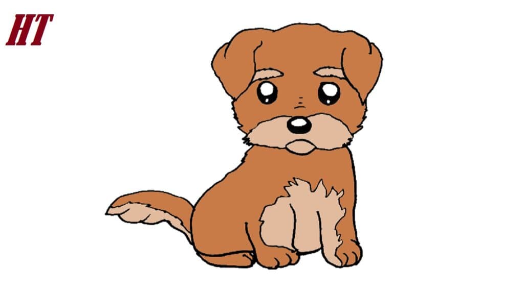 How to Draw a Terrier