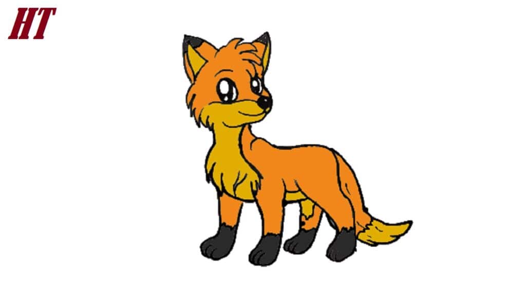 How to Draw an Easy Fox