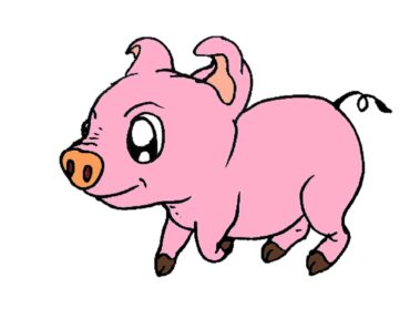How to Draw an Easy Pig Step by Step