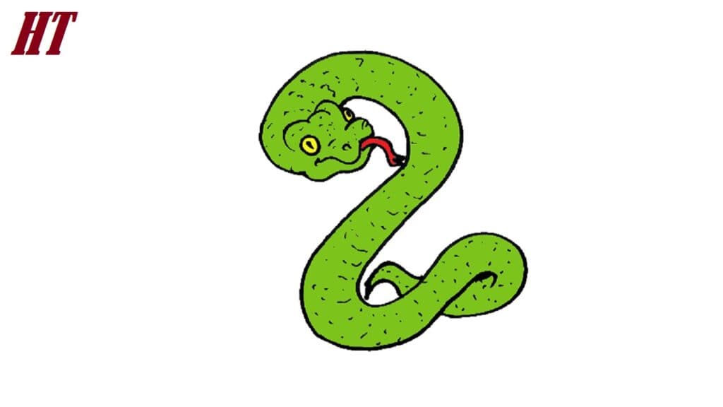 How to Draw an Easy Snake