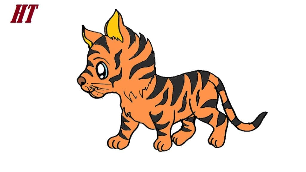 How to Draw an Easy Tiger