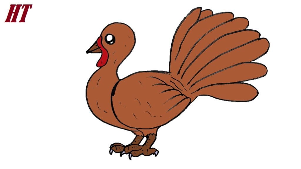 How to Draw an Easy Turkey