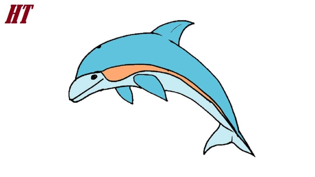 How to Draw an easy Dolphin