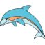 How to Draw an easy Dolphin Step by Step