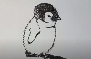 How to Draw a Penguin Chick