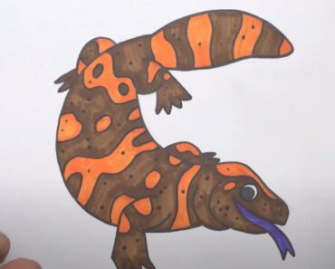 How to Draw a Gila Monster Step by Step