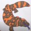 How to Draw a Gila Monster Step by Step