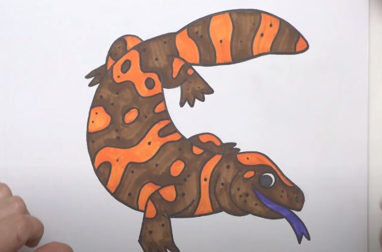 How to Draw a Gila Monster Step by Step