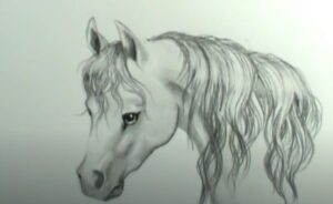 How to Draw A Horse Mane