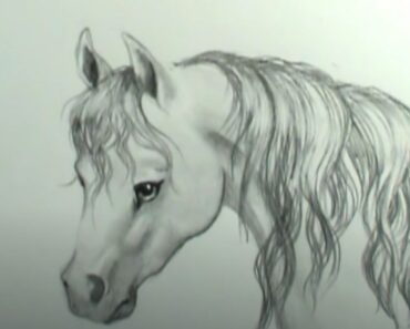 How to Draw A Horse Mane Step by Step