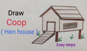 How to Draw a Chicken Coop