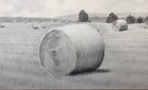 How to Draw a Hay Bale