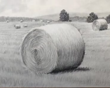 How to Draw a Hay Bale Step by Step