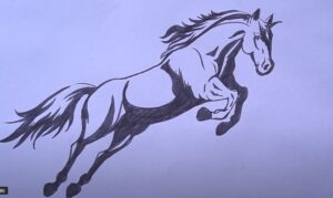 How to Draw a Horse Jumping