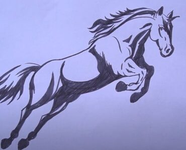 How to Draw a Horse Jumping Step by Step