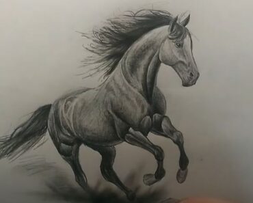 How to Draw a Horse Running Step by Step