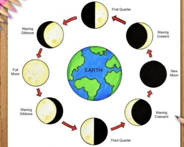 How to draw Moon Phases Step by Step