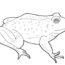 How to Draw a Bullfrog Step by Step