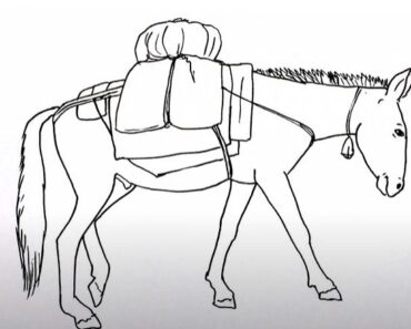 How to Draw a Mule Step by Step