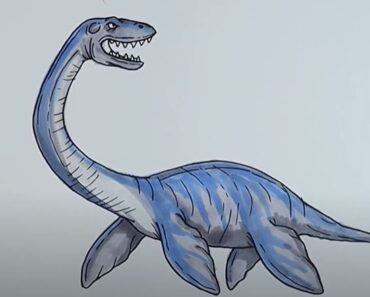 How to Draw a Plesiosaurus Step by Step