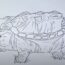 How to Draw a Snapping Turtle Step by Step