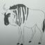 How to Draw a Wildebeest Step by Step