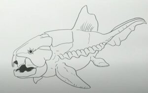 How to draw a Dunkleosteus
