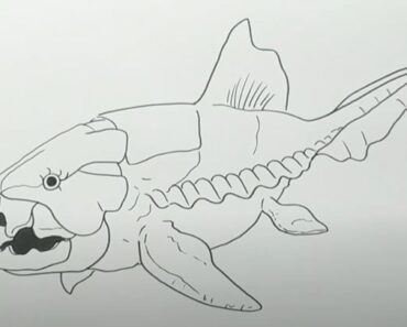 How to draw a Dunkleosteus Step by Step