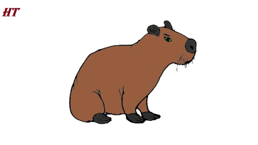 How to Draw a Capybara