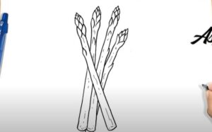 How to Draw Asparagus