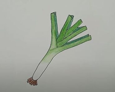How to Draw a Leek