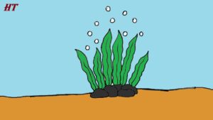 How to Draw Seaweed