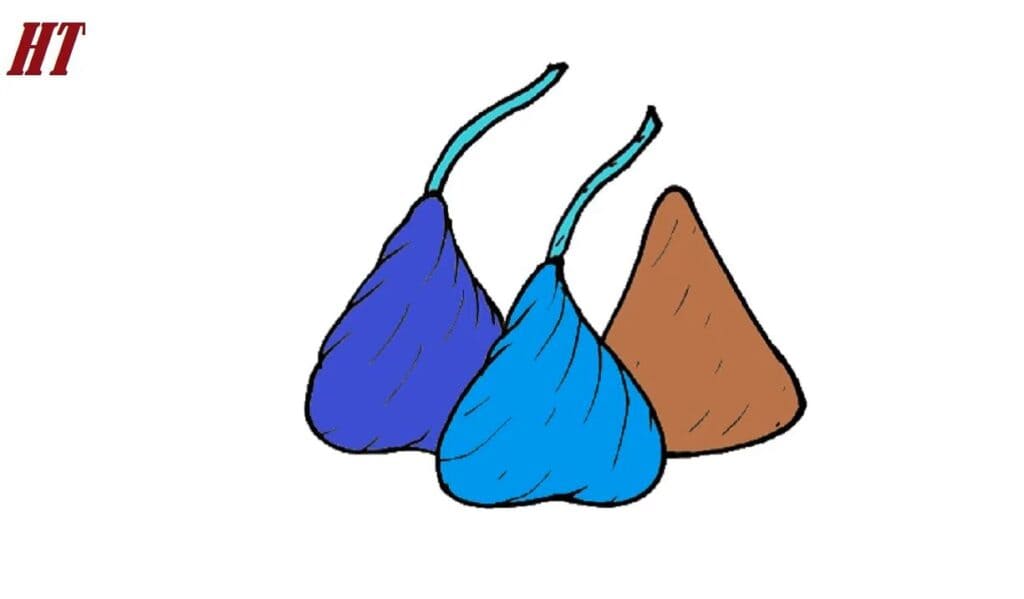 How to Draw a Hershey Kiss 5