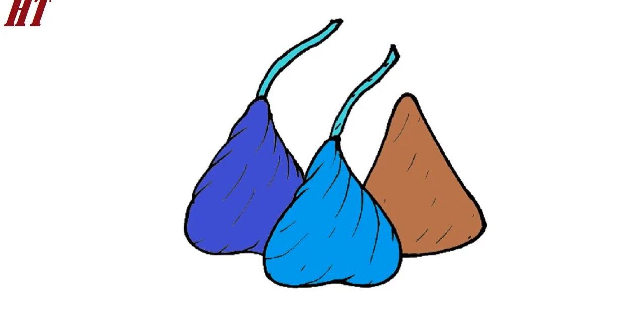 How to Draw a Hershey Kiss step by step