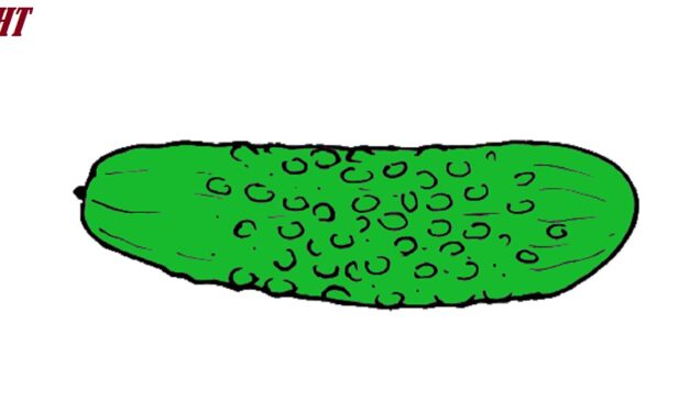 How to Draw a Pickle step by step