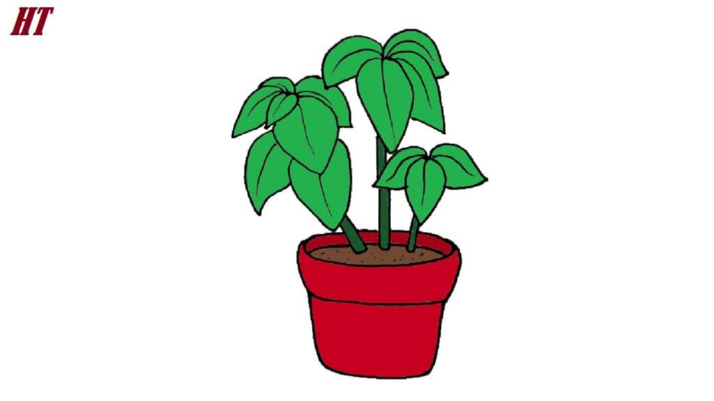 Vivid illustration of a potted houseplant with green leaves, perfect for step-by-step drawing tutorials on how to draw plants and flowers.
