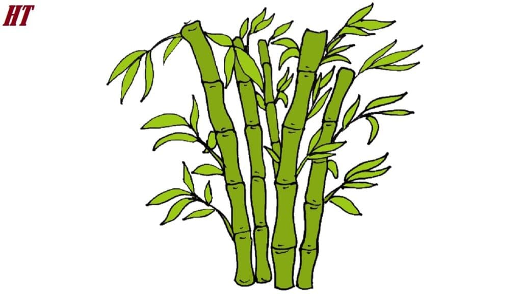 Vibrant green bamboo stalks with leaves, illustration, how to draw step by step, detailed drawing tutorial, nature art, bamboo drawing guide, step-by-step drawing for beginners, arts and crafts.