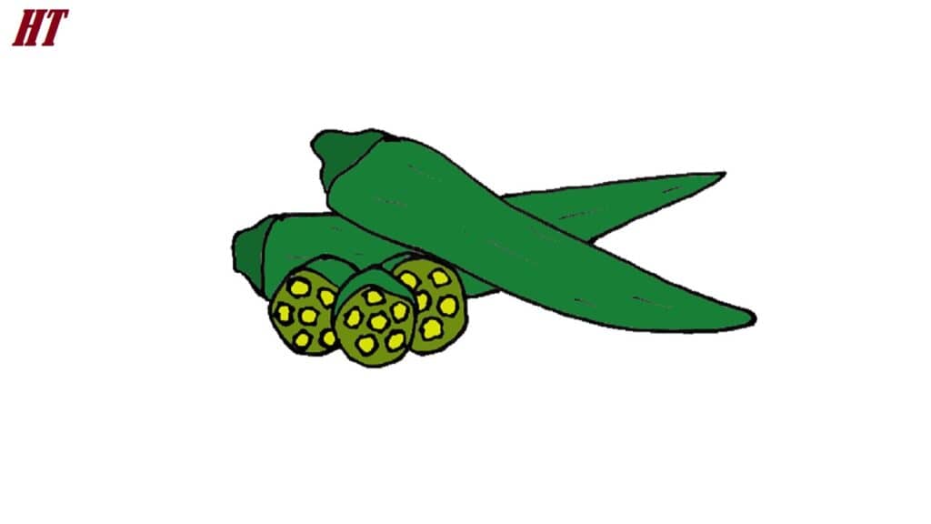 Fresh green okra with sliced cross-sections, perfect for step-by-step drawing tutorials on how to draw vegetables. Easy to follow guide for beginners on sketching okra in simple steps.
