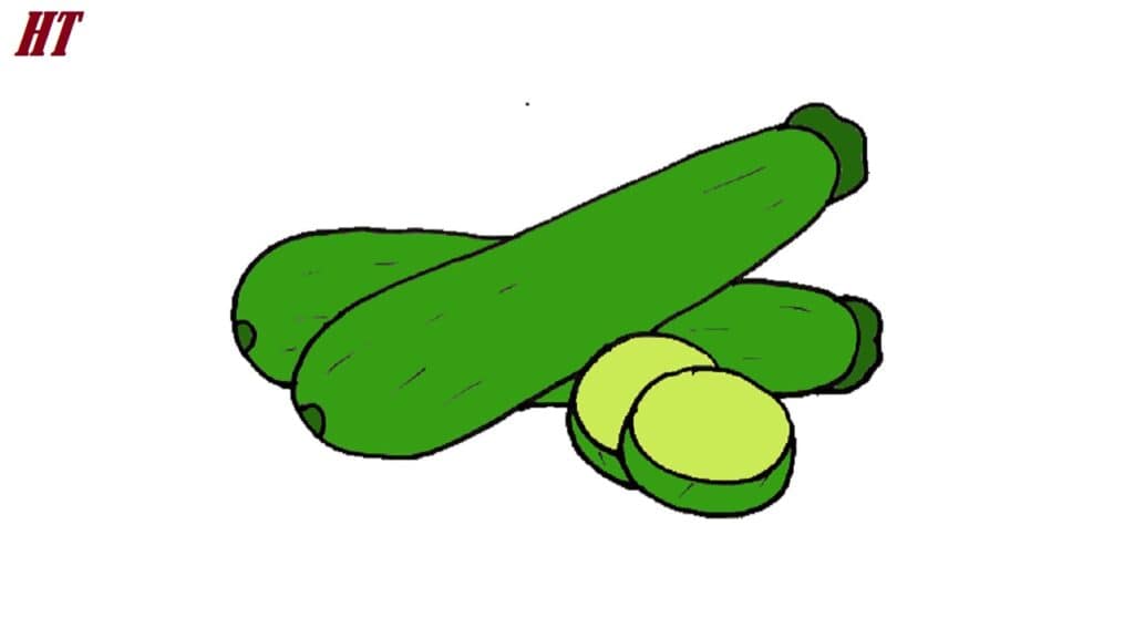 Fresh zucchini with sliced pieces for step-by-step drawing tutorial.