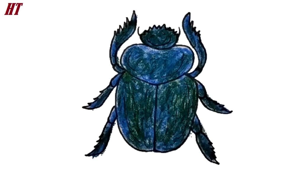 Vibrant blue-green beetle illustration with detailed coloring, perfect for step-by-step drawing tutorials and insect art projects.
