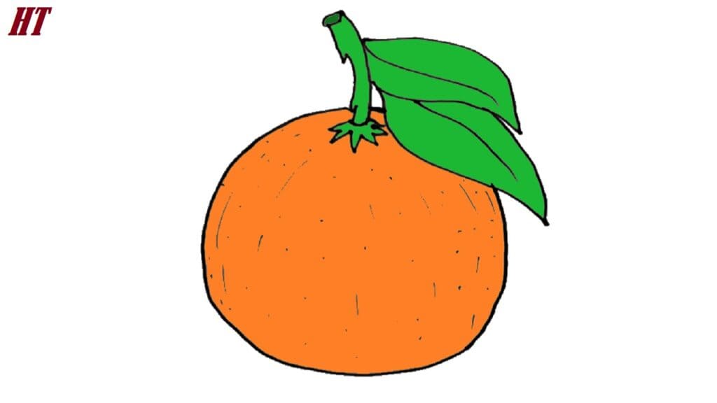 Vivid orange with green leaves, illustrating how to draw a fruit step by step for beginners. Step-by-step guide to drawing a realistic orange with detailed coloring and shading.