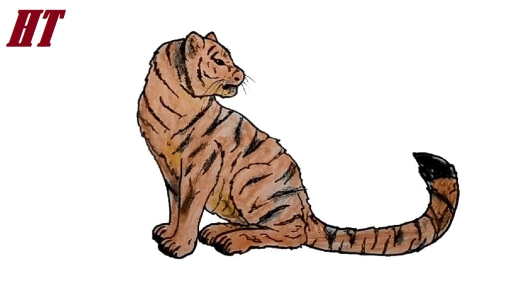 Draw a step-by-step tiger illustration for beginners and artists.