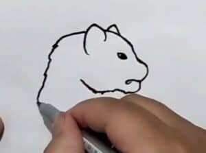 A step-by-step drawing tutorial showing how to draw a cute animal face, ideal for beginners and art enthusiasts.