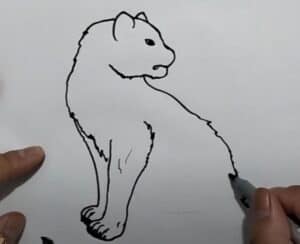 Drawing step by step tutorial on how to draw a lion with simple lines and instructions for beginners.
