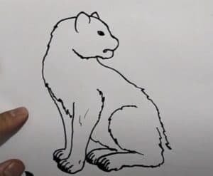 A step-by-step drawing tutorial of a sitting cat for beginners. Learn how to sketch and outline a cute cat with simple lines and easy instructions, perfect for art enthusiasts.