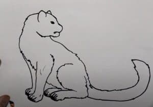 Drawing a lion step by step - beginner's guide to sketching wild animals with easy tutorial. Perfect for art lovers interested in animal drawing techniques.